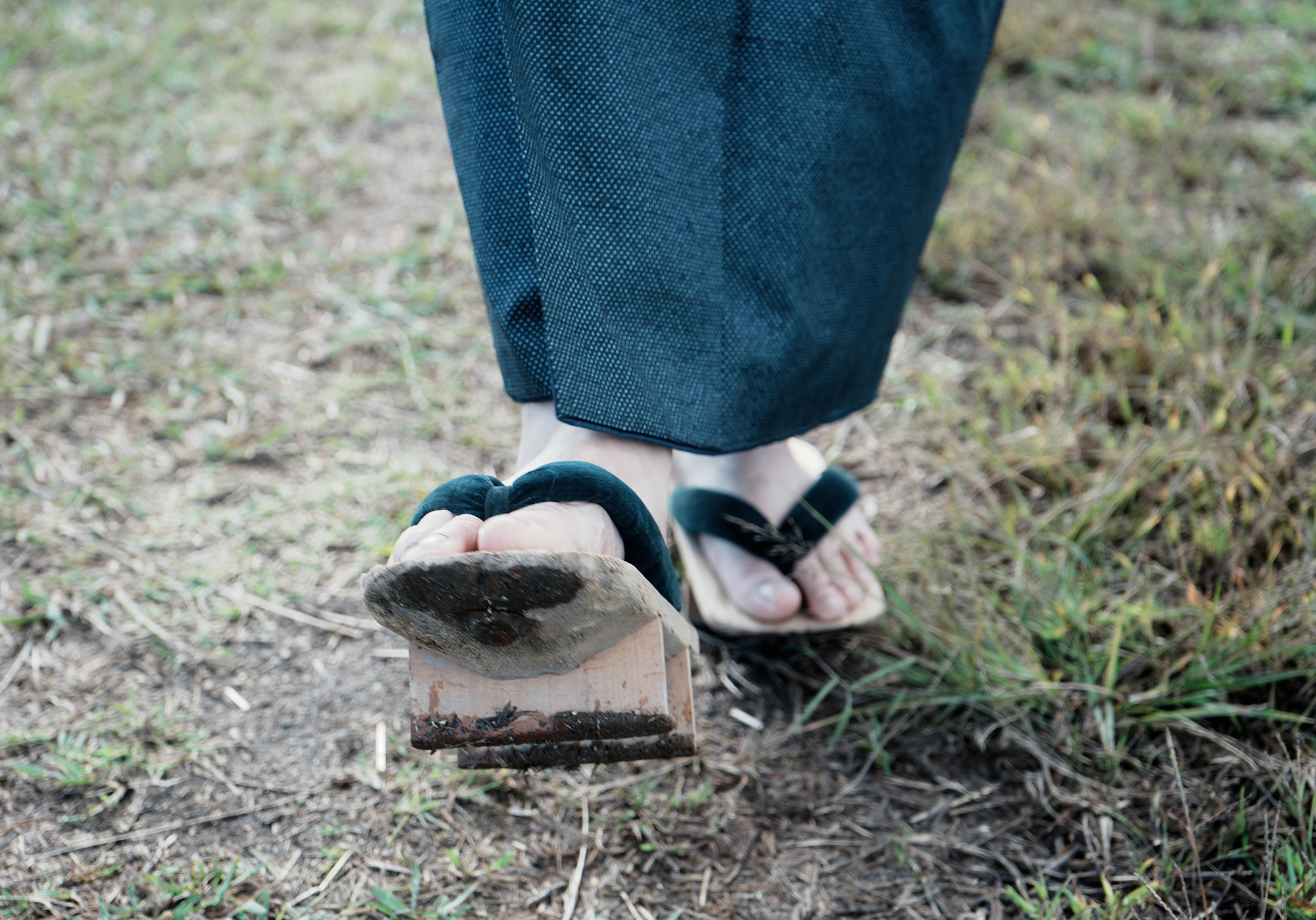 拾石コレクション