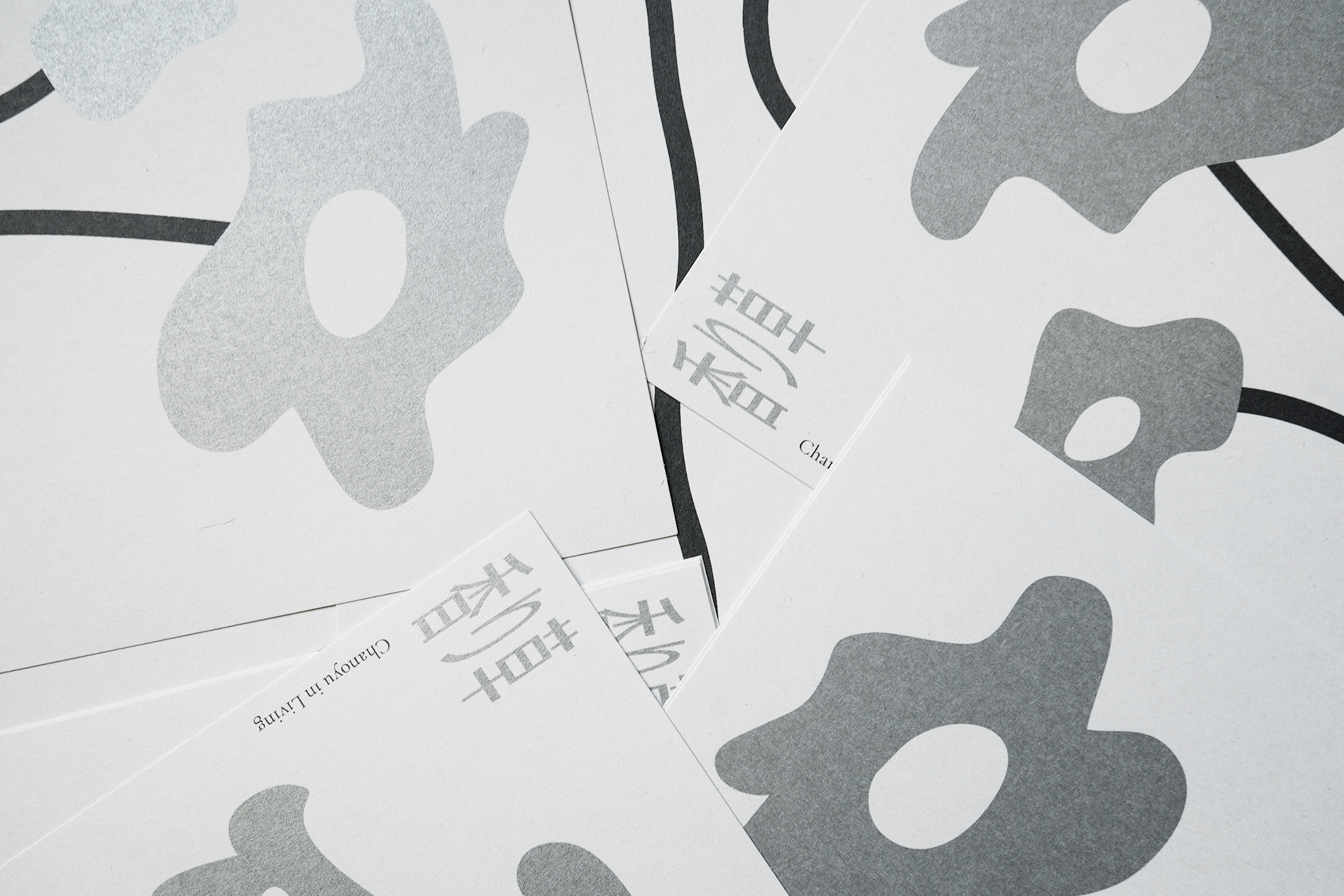 拾石コレクション