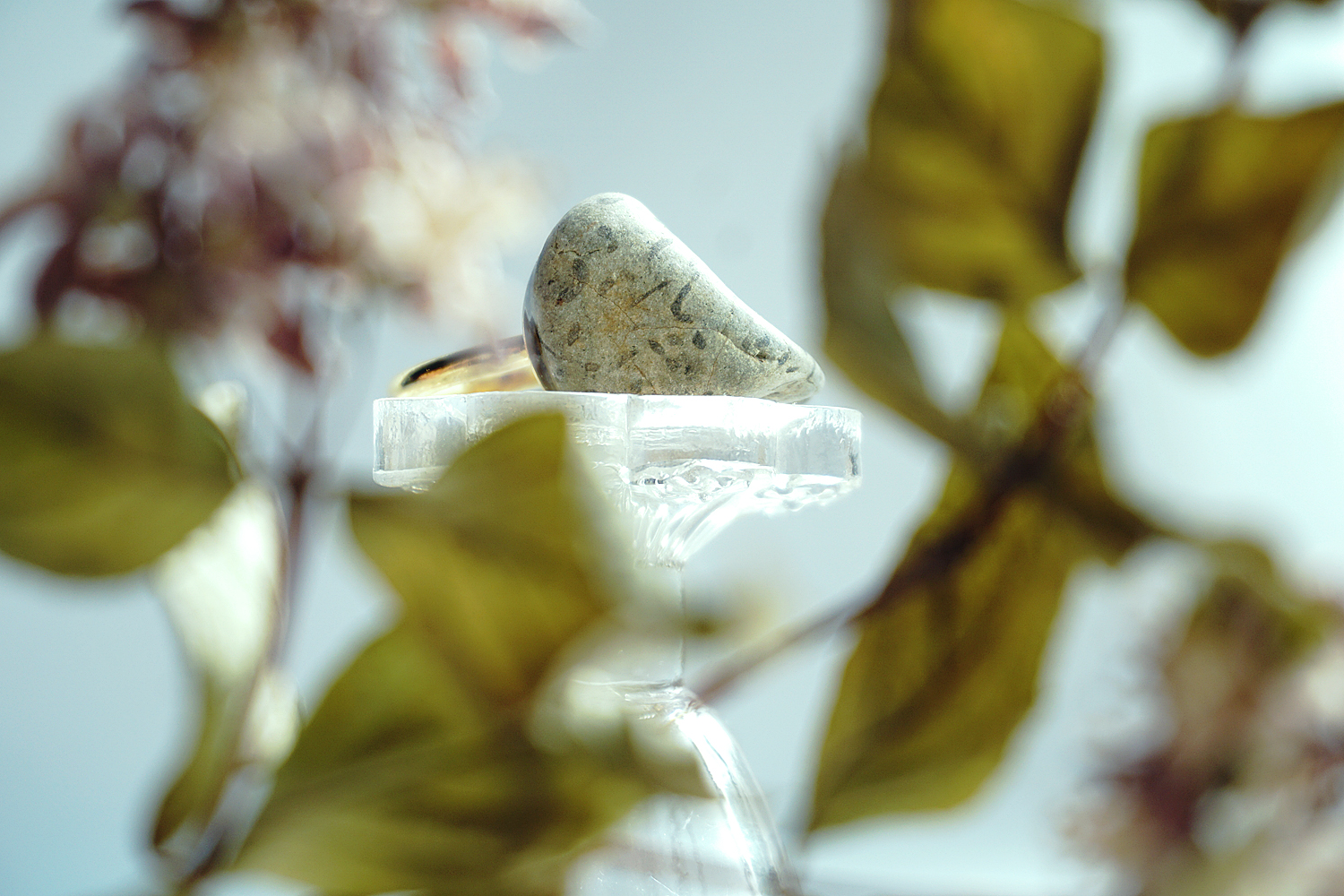 拾石コレクション